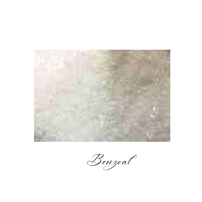 Na Benzoate (Min Order 20MT)