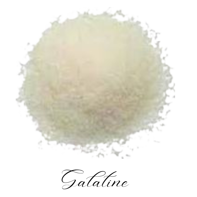 Gelatin (Min Order 20MT)